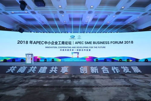 科技创新助中小企业发展壮大 以互联网软硬件技术开发驱动新增长